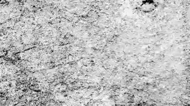 Siyah ve beyaz sıkıntılı ses dokusu arka plan, bulanık çizikler hareketli animasyonu durdurun video, soyut grunge kaba vintage arkaplan