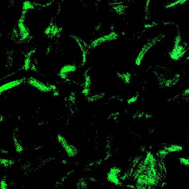 Soyut grunge renk dokusu sıkıntılı, klasik bir görünüme sahip, hafif gürültü ve tahıllı desenler içeren, ham, sanatsal bir arkaplan resmi yaratan çeşitli tasarım projeleri için mükemmel