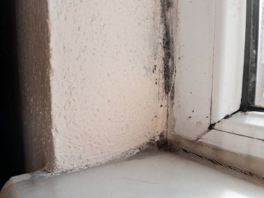 Pencere ve duvar arasındaki küflü alanlar