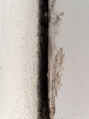 Pencere ve duvar arasındaki küflü alanlar