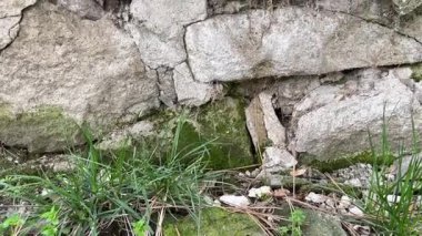 Eski taş duvar dokusu