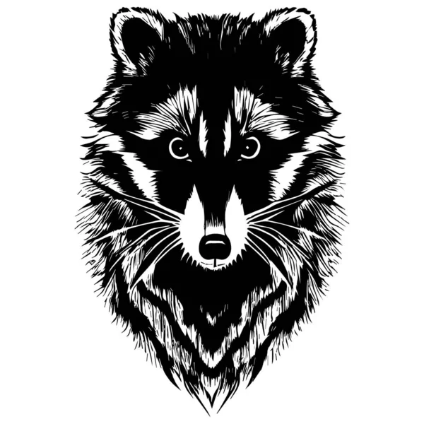 Logo Vecteur Raton Laveur Noir Blanc Dans Style Dessin Main — Image vectorielle
