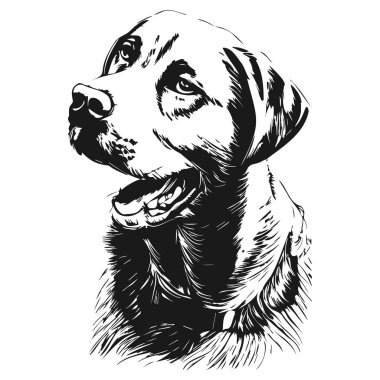 logo labrador el çizimi vektör siyah ve whit