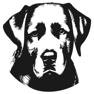 Labrador köpek resimleri el çizimi vektör siyah ve whit