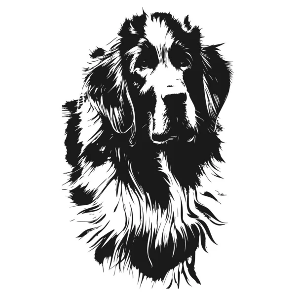 Golden Retriever Cão Vetor Mão Vetor Desenhado Preto Branco — Vetor de Stock