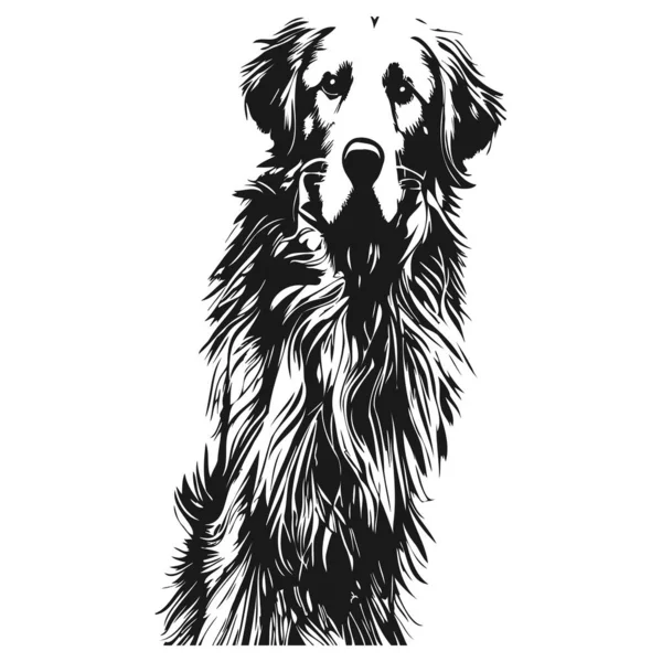 Pictures Golden Retrievers Hand Drawn Vector Black Whit — Stock Vector