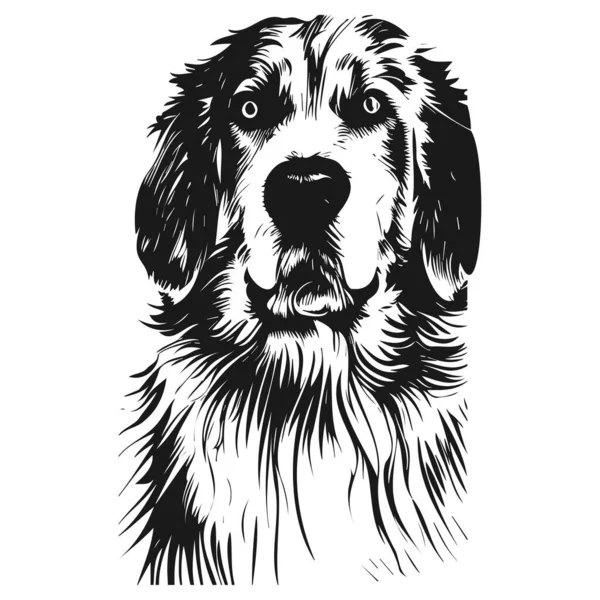 Images Des Récupérateurs Labrador Dessinées Main Vecteur Noir Blanc — Image vectorielle