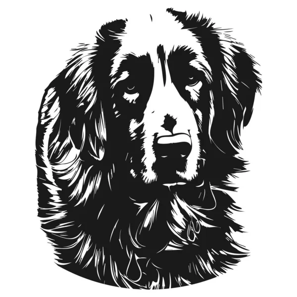 Golden Retriever Kutya Kép Kézzel Húzott Vektor Fekete Fehér — Stock Vector