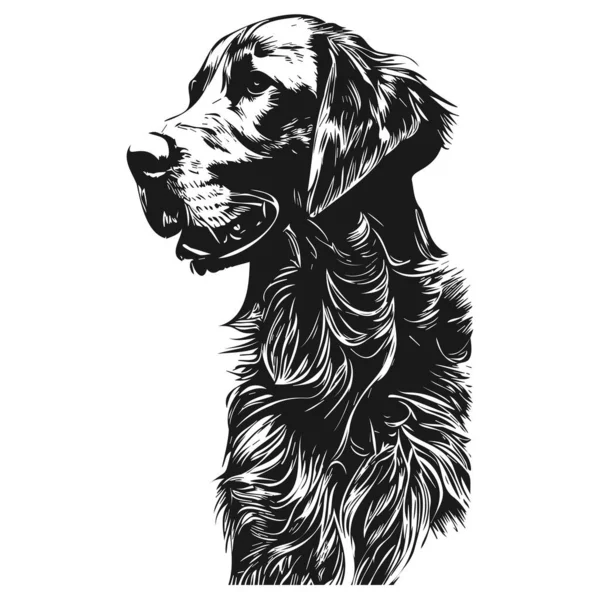 Labrador Retriever Pics Hand Drawn Vector Black Whit — Stock Vector