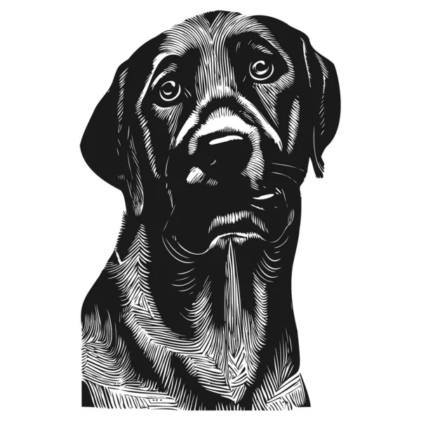 Labrador Logo Dessiné Main Vecteur Noir Blanc — Image vectorielle