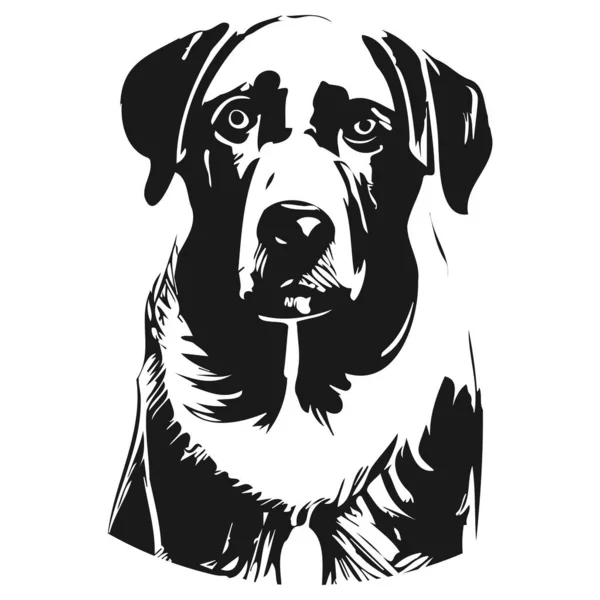 Labrador Dog Vector Hand Drawn Vector Black Whit — Stock Vector