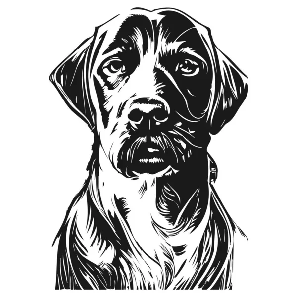 Negro Labrador Vector Dibujado Mano Vector Negro Blanco — Archivo Imágenes Vectoriales
