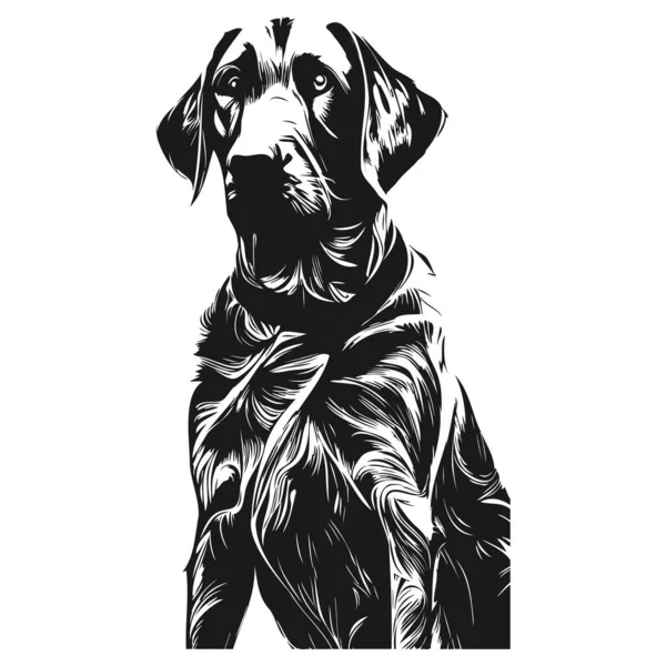 Labrador Vecteur Art Dessin Main Vecteur Noir Blanc — Image vectorielle