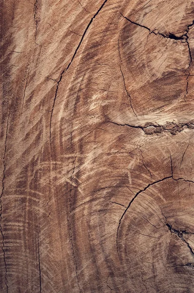 Realistisk Trä Textur Bakgrund — Stock vektor