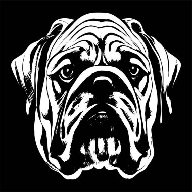 Bulldog el resmi, do 'nun siyah beyaz çizimi