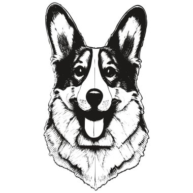 Corgi karikatür yüz resmi el çizimi, do 'nun siyah beyaz çizimi