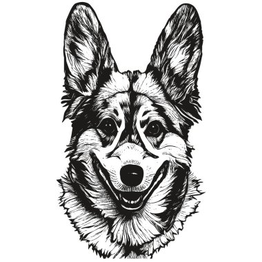 Corgi karikatür yüz resmi, el çizimi vektör portresi, do 'nun siyah beyaz çizimi
