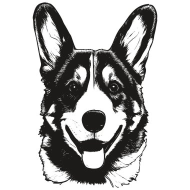 Şirin Corgi karikatür resmi, el çizimi vektör portresi, do 'nun siyah beyaz çizimi.
