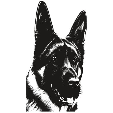 Alman çoban köpeği karikatürü yüz resmi el çizimi, do 'nun siyah beyaz çizimi