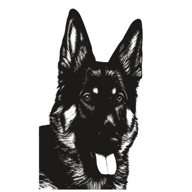 Alman çoban köpeği el çizimi, do 'nun siyah beyaz çizimi