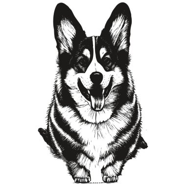 Pembroke Welsh Corgi çizgi film yüzü resim el çizimi, siyah beyaz do çizimi