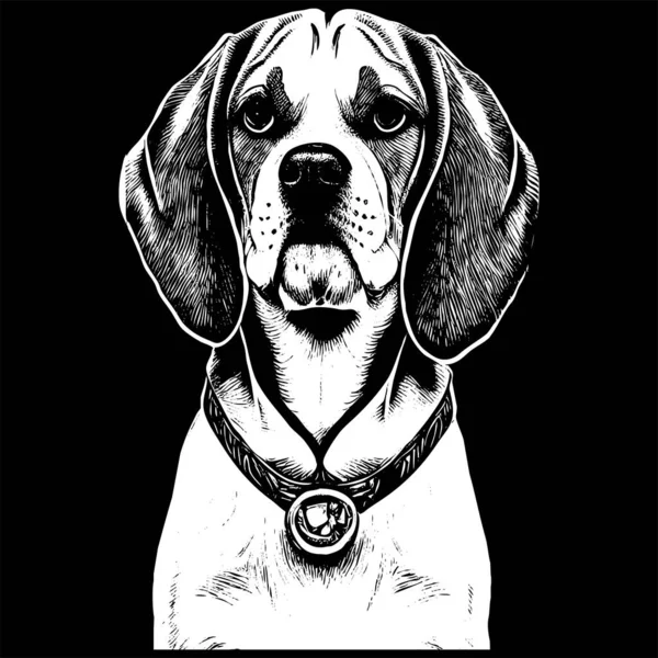 Beagle Resmi Nun Siyah Beyaz Çizimi — Stok Vektör