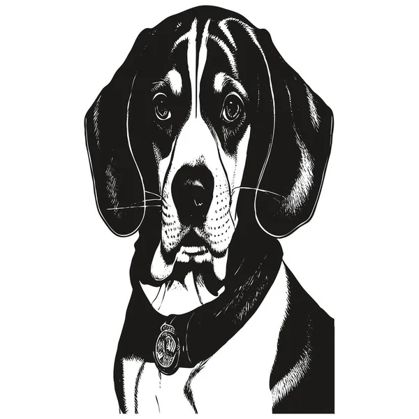 Beagle Silhouette Vector Portrait Hand Drawn Black White Drawing — Stock Vector