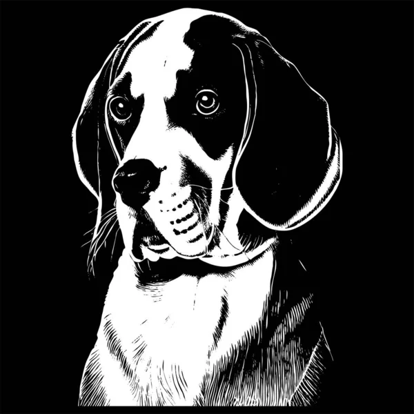 Imagem Desenho Animado Bonito Beagle Retrato Vetorial Desenhado Mão Desenho —  Vetores de Stock