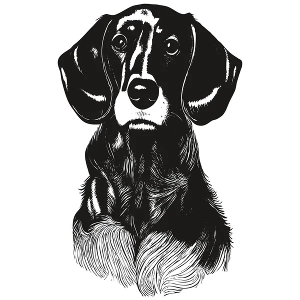 Dachshund Hand Drawn Picture Black White Drawing — Stock Vector