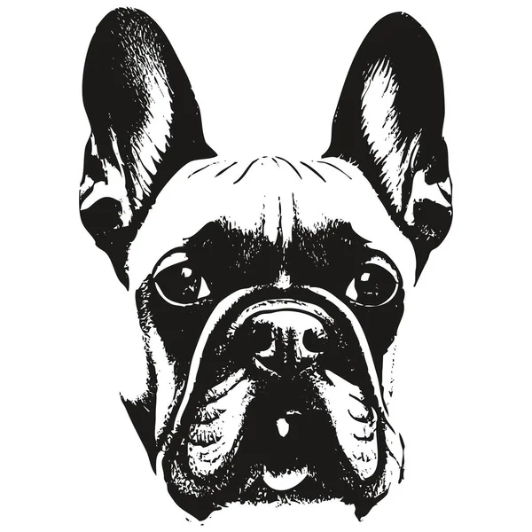 Bulldog Francés Lindo Corgi Imagen Vectorial Dibujos Animados Dibujo Blanco — Archivo Imágenes Vectoriales