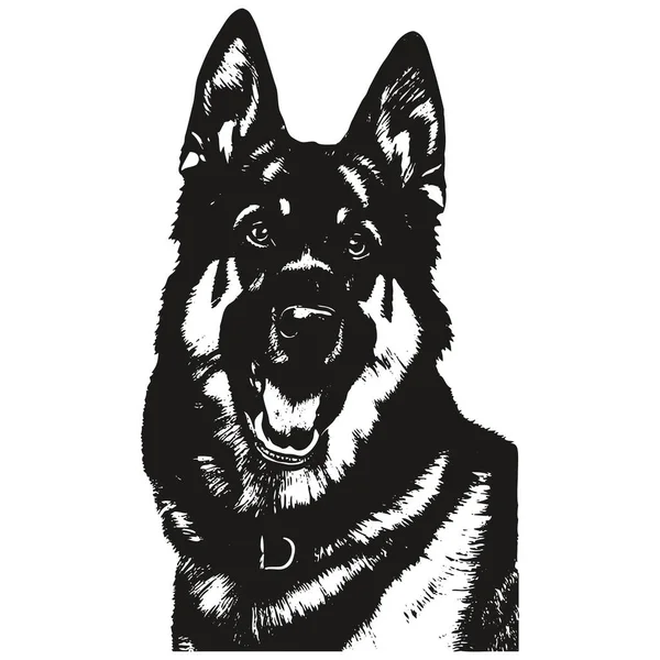 German Shepherd Hand Drawn Picture Black White Drawing — Stock Vector