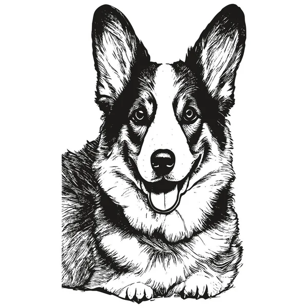 stock vector Pembroke Welsh Corgi, cute corgi cartoon vector image ,black and white drawing of do