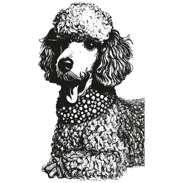 Poodle Vector Portrait Hand Drawn Vector Black White Drawing — Stock Vector