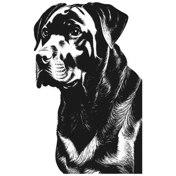 Rottweiler Ligne Dessin Vecteur Dessin Noir Blanc — Image vectorielle