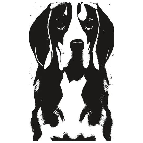 Beagle Klip Art Vektor Tangan Digambar Hitam Dan Putih Gambar - Stok Vektor