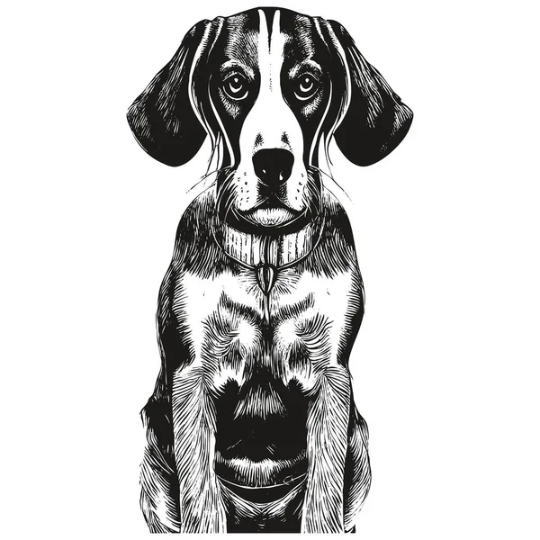 Beagle Image Vectorielle Dessin Animé Beagle Mignon Dessin Noir Blanc — Image vectorielle
