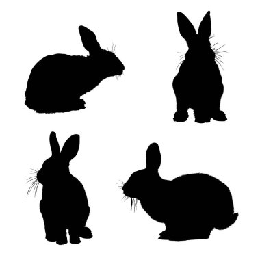 Siyah tavşan silueti, vektör logosu