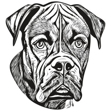 Boksör köpeği siyah ve beyaz vektör logosu, çizgili sanat eseri vektör hayvan çizimi çizimi