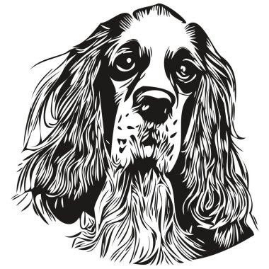 Spaniel English Springer köpek siyah-beyaz vektör logosu, çizgili sanat el çizimi vektör hayvan illüstrasyonu