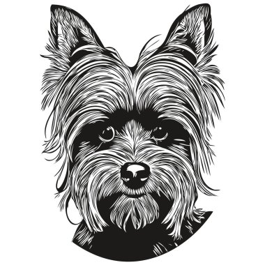 Yorkshire Terrier köpek eli çizilmiş illüstrasyon, siyah-beyaz evcil hayvanlar logo hattı ar