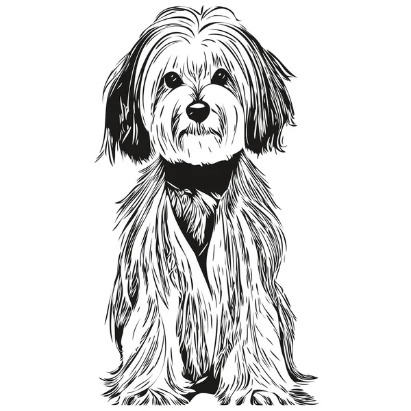 Havanesische Hund Schwarz Weiß Vektor Logo Linie Kunst Handgezeichneten Vektor — Stockvektor