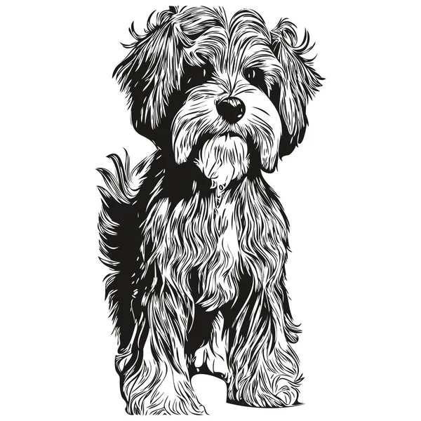 Havanesische Hund Handgezeichnete Linie Kunst Vektor Zeichnung Schwarz Und Weiß — Stockvektor