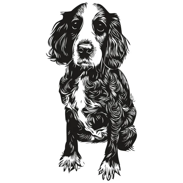 Spaniel Englisch Springer Hund Schwarz Weiß Vektor Logo Linienkunst Handgezeichnete — Stockvektor