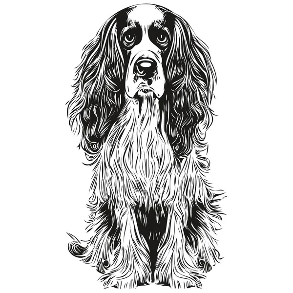 Spaniel Englisch Springer Hund Handgezeichnete Illustration Schwarz Weiß Vektor Haustiere — Stockvektor