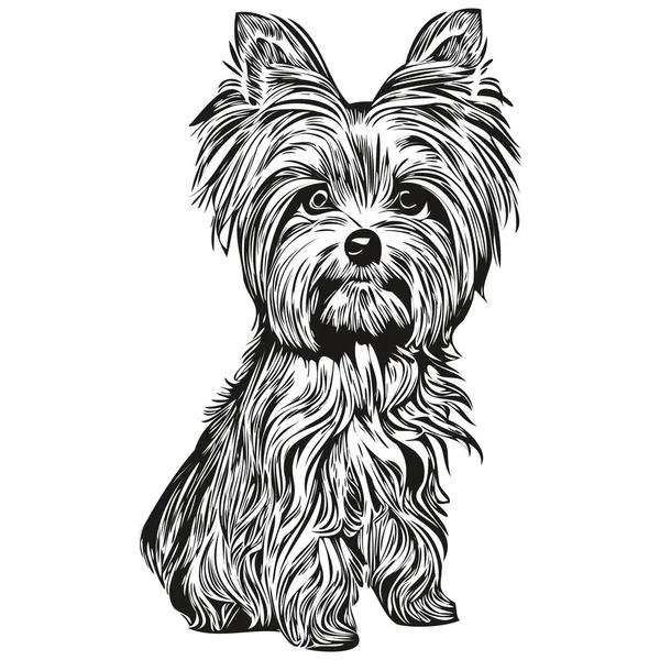 Yorkshire Terrier Schwarz Weißes Vektorlogo Linienkunst Gezeichnet Vektor Haustiere Illustratio — Stockvektor