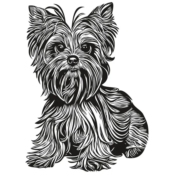 Yorkshire Terrier Cão Logotipo Vetor Preto Branco Linha Arte Mão — Vetor de Stock
