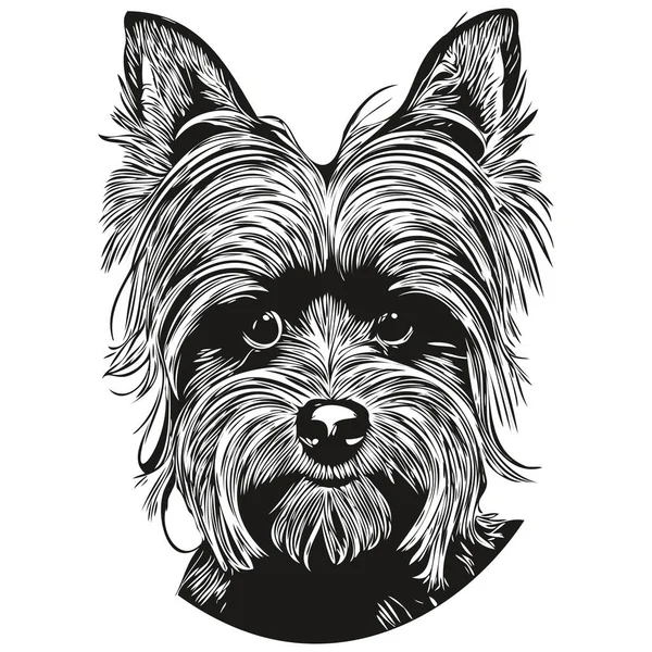 Yorkshire Terrier Hund Handgezeichnete Illustration Schwarz Weißer Vektor Haustiere Logo — Stockvektor