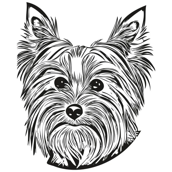 Yorkshire Terrier Schwarz Weißes Vektorlogo Linienkunst Gezeichnet Vektor Haustiere Illustratio — Stockvektor