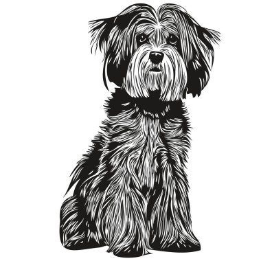 Havanili köpek el çizimi vektör çizimi siyah beyaz logo hayvanları çizimi