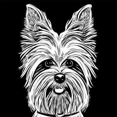 Yorkshire Teriyer köpeği el çizimi çizimi sanat vektörü siyah beyaz logo hayvanları grafiği çiziyor